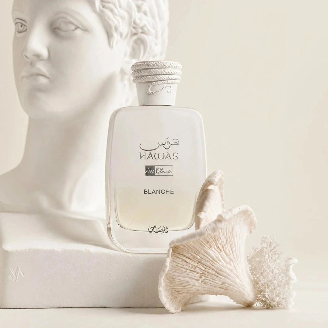 A clear rectangular perfume bottle labeled 'NACLAS BLANCHE' sits in front of a white classical bust sculpture, with a white shell placed beside it on a warm off-white background.
